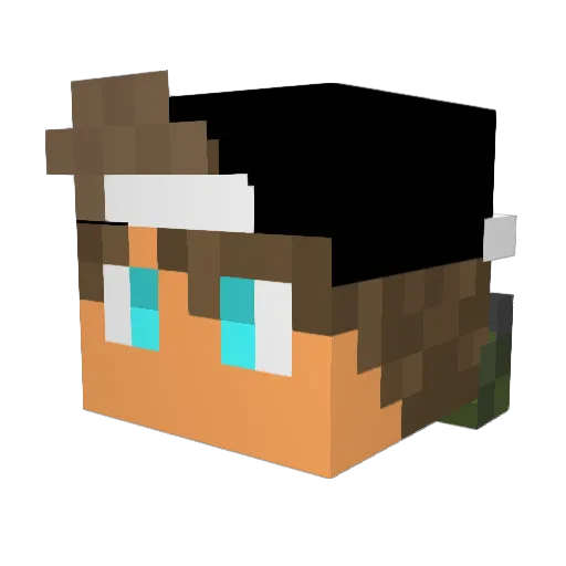 ZURST5 Minecraft avatar head, 3D render
