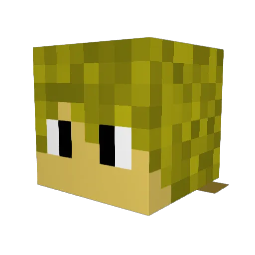 ZW2MUCH Minecraft avatar head, 3D render