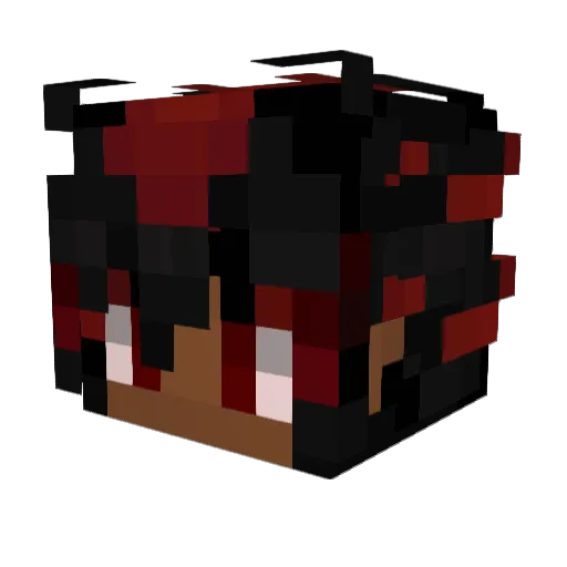 ZWILL1208 Minecraft avatar head, 3D render