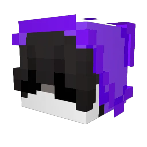 ZXxg_ Minecraft avatar head, 3D render