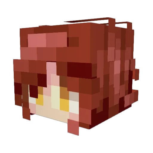 ZYMFOXX505 Minecraft avatar head, 3D render
