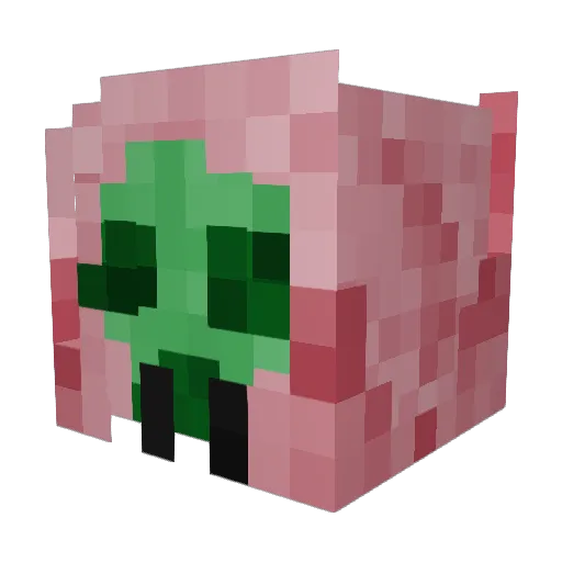 ZYNbobledorp Minecraft avatar head, 3D render