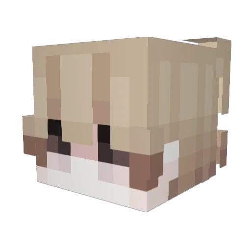 ZYPORY Minecraft avatar head, 3D render