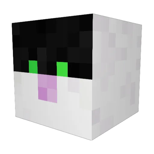 ZZ663 Minecraft avatar head, 3D render