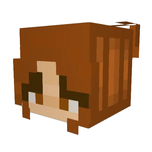 ZZY2000 Minecraft avatar head, 3D render