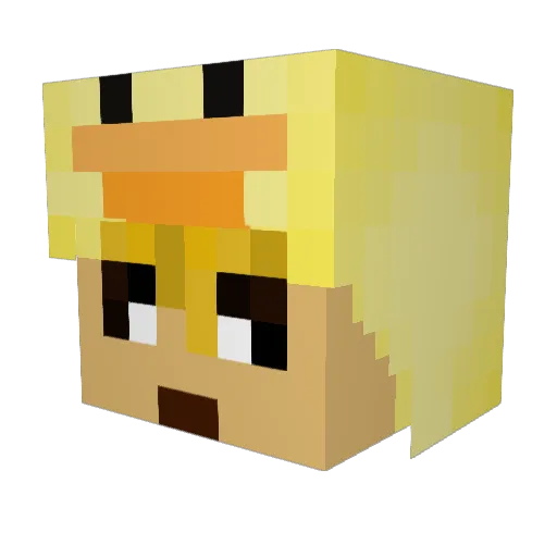 ZZZ_NICK14 Minecraft avatar head, 3D render