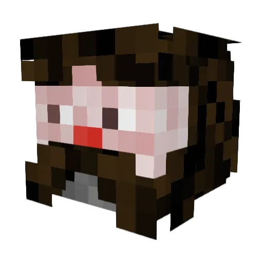 ZZarkuSS Minecraft avatar head, 3D render