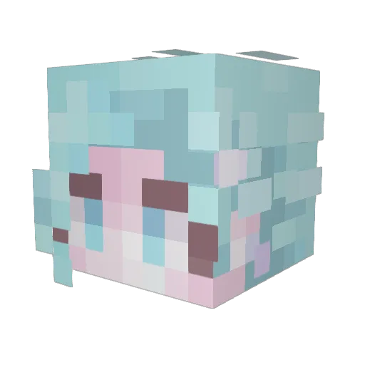 ZZoomer_Paja Minecraft avatar head, 3D render