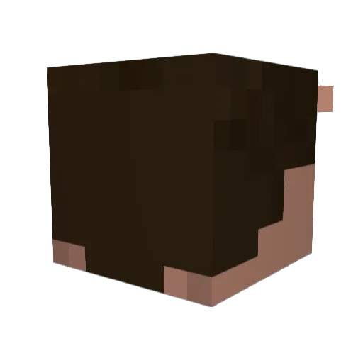 Z_4ki Minecraft avatar head, 3D render