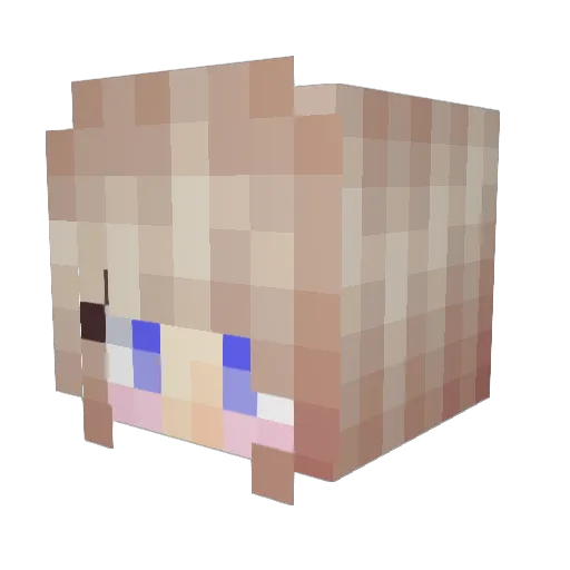 Z_Bella Minecraft avatar head, 3D render