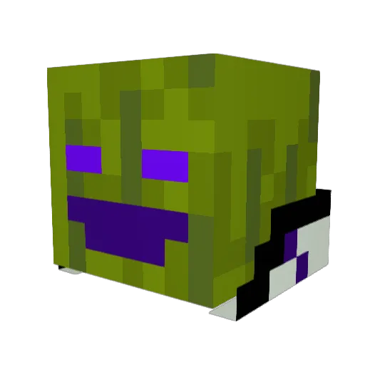 Z_E_P_H_E_R Minecraft avatar head, 3D render