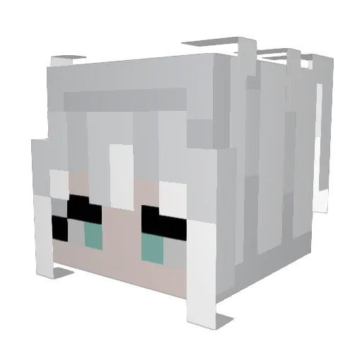 Z_Eryxx Minecraft avatar head, 3D render