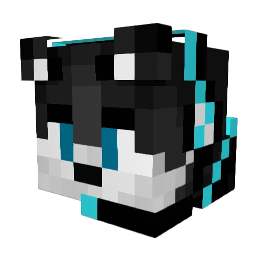 Z_Evolution Minecraft avatar head, 3D render