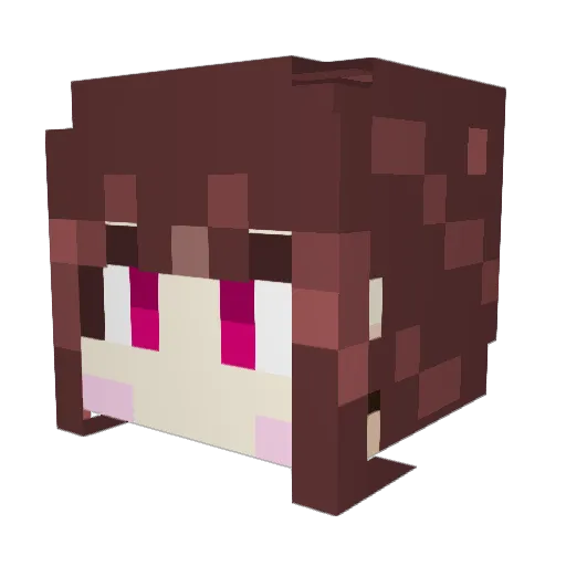 Z_Jupiter Minecraft avatar head, 3D render