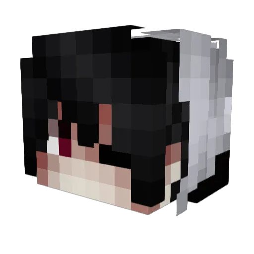 Z_Life Minecraft avatar head, 3D render