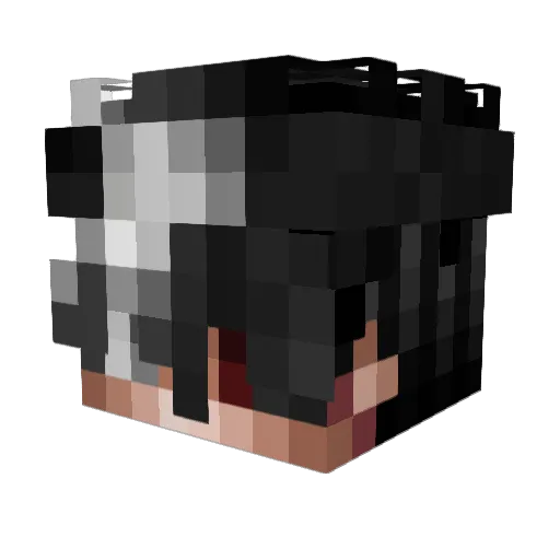 Z_Pudim_Z Minecraft avatar head, 3D render