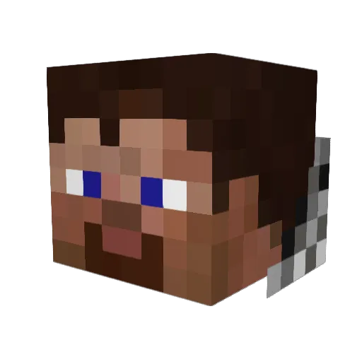 Z_Shell Minecraft avatar head, 3D render