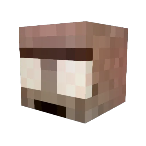 Z_ls Minecraft avatar head, 3D render