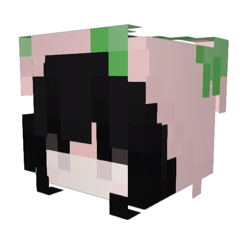 Z_nation101 Minecraft avatar head, 3D render