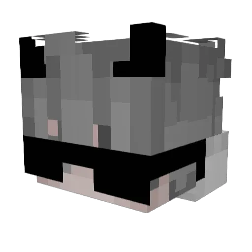 Za1yo Minecraft avatar head, 3D render