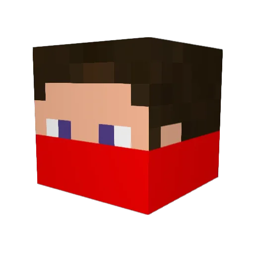 ZaChArY11112 Minecraft avatar head, 3D render