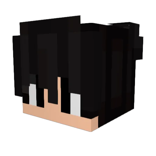 ZaDrOt37 Minecraft avatar head, 3D render