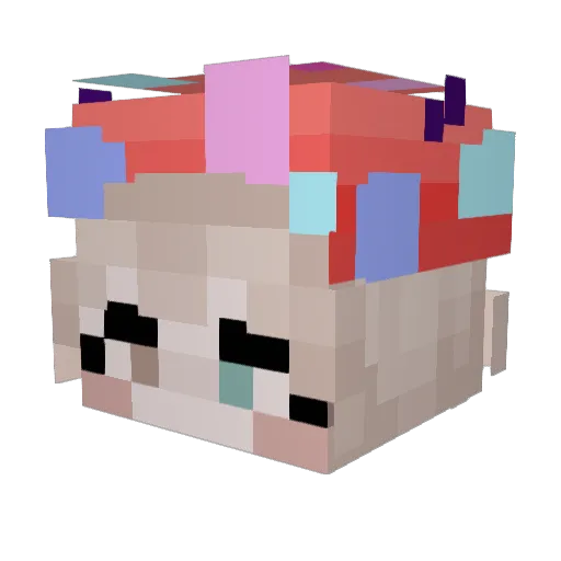 ZaLi9 Minecraft avatar head, 3D render