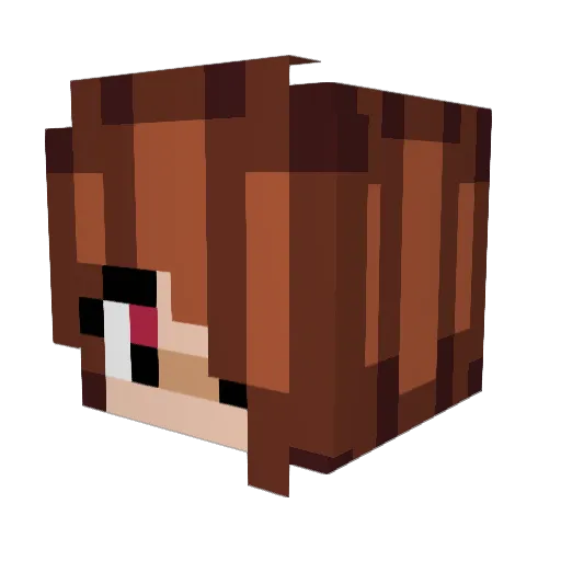 ZaRoKyPe Minecraft avatar head, 3D render