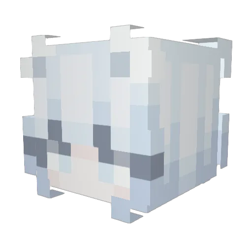 ZaRyder Minecraft avatar head, 3D render