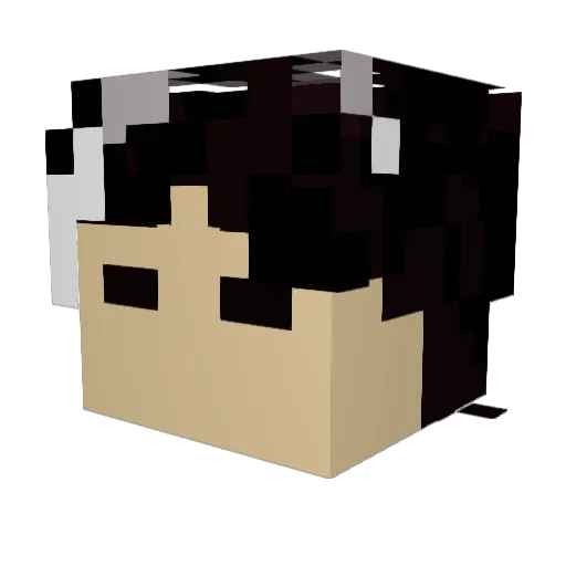 ZaShinr4 Minecraft avatar head, 3D render