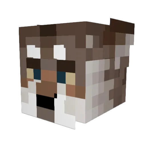 Za_Yote Minecraft avatar head, 3D render