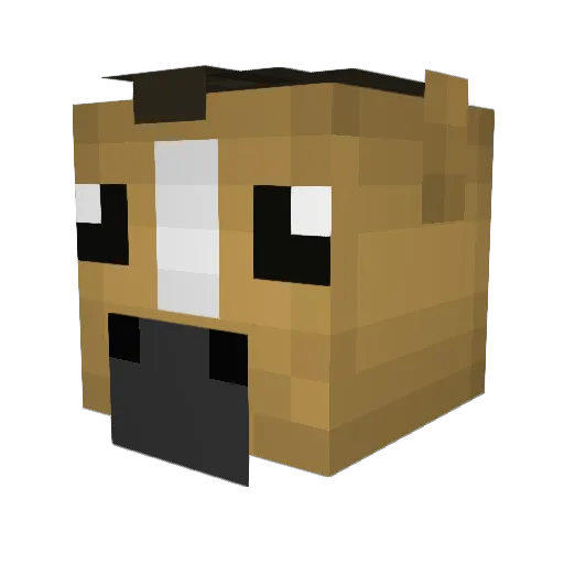 Zaastrox Minecraft avatar head, 3D render