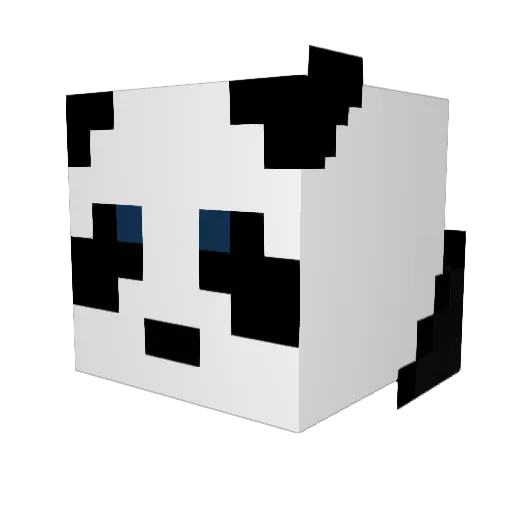 Zabar23 Minecraft avatar head, 3D render