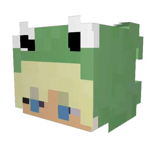 ZablakanyPies Minecraft avatar head, 3D render