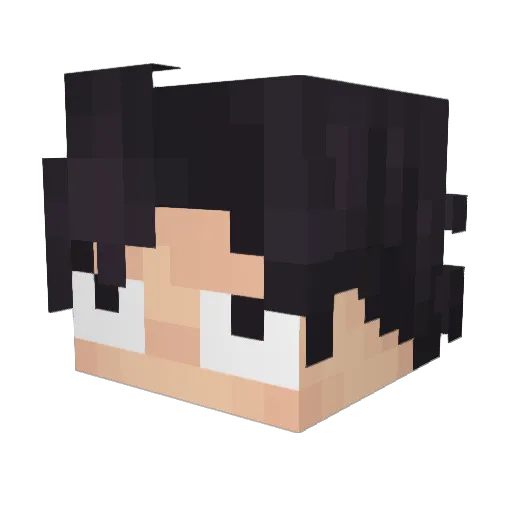 Zabwenus Minecraft avatar head, 3D render