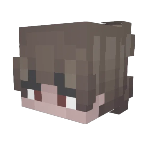 Zac0511 Minecraft avatar head, 3D render
