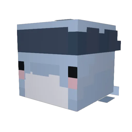 Zac779 Minecraft avatar head, 3D render