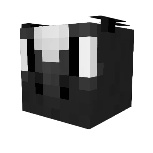 ZacTO66 Minecraft avatar head, 3D render