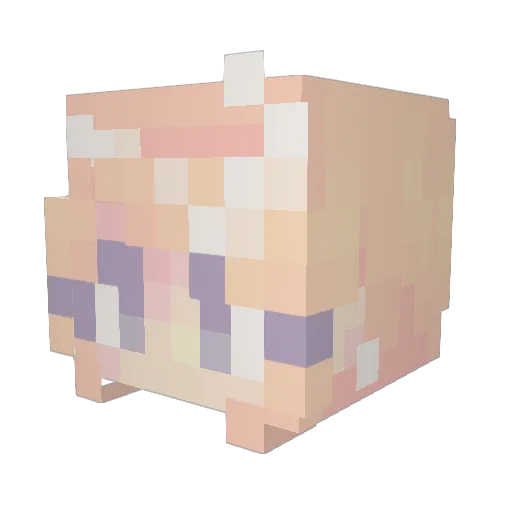 Zacadoodaar9 Minecraft avatar head, 3D render