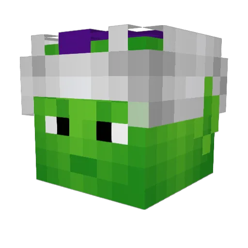ZacaroniChez Minecraft avatar head, 3D render