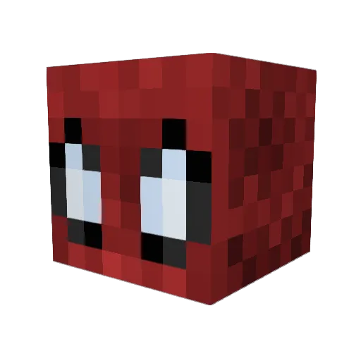 Zach1024 Minecraft avatar head, 3D render