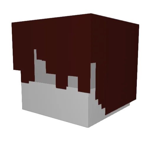 Zach2287 Minecraft avatar head, 3D render