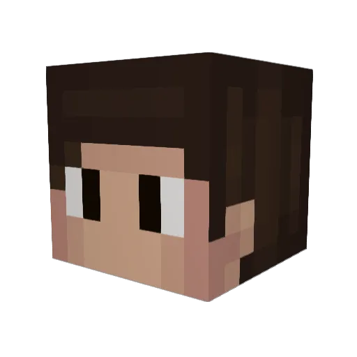 ZachCat17 Minecraft avatar head, 3D render