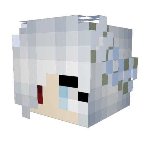 ZachSage Minecraft avatar head, 3D render