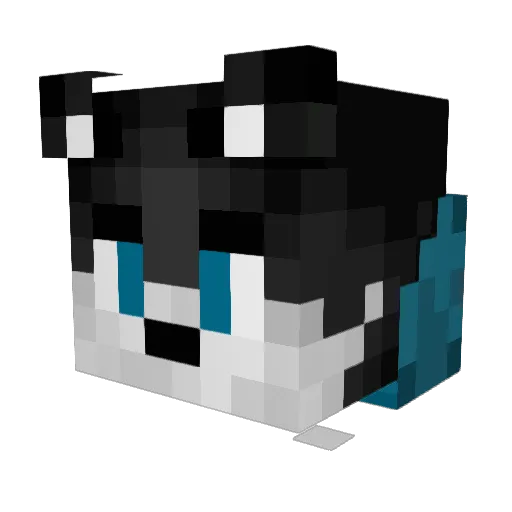Zachaary Minecraft avatar head, 3D render