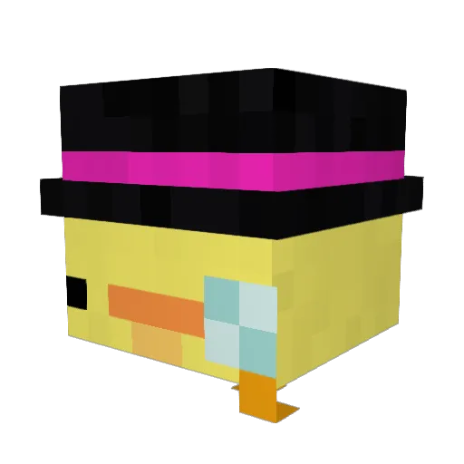 Zachapotamus Minecraft avatar head, 3D render