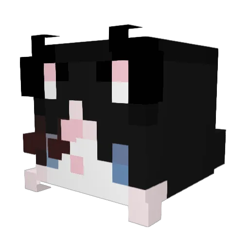 Zacharious Minecraft avatar head, 3D render