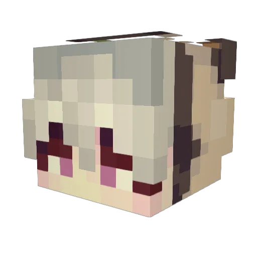 ZacharyDong Minecraft avatar head, 3D render