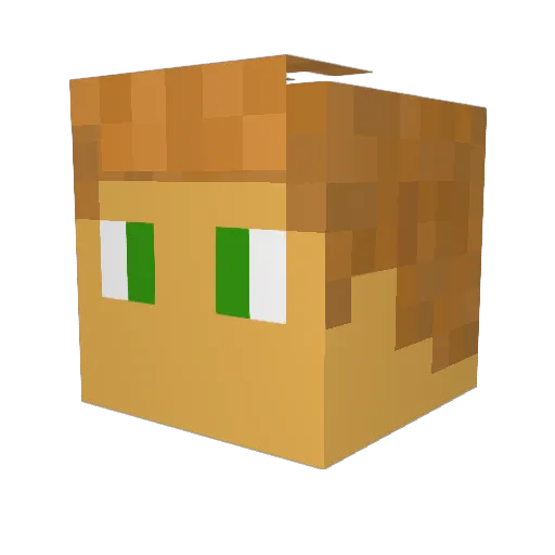 Zachary_Aims Minecraft avatar head, 3D render