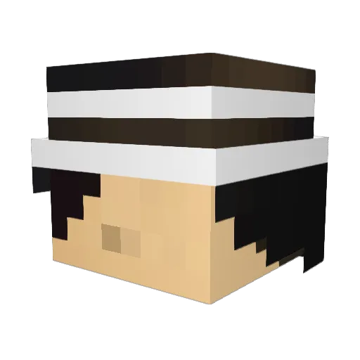 Zachary_Shadow Minecraft avatar head, 3D render
